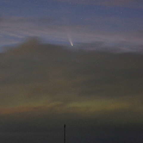 ネオワイズ彗星