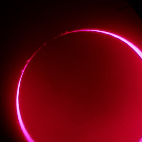 燃え上がるベイリービーズ