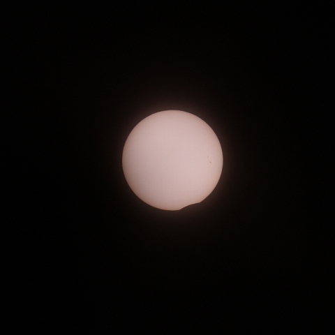 青島金環　接触直後