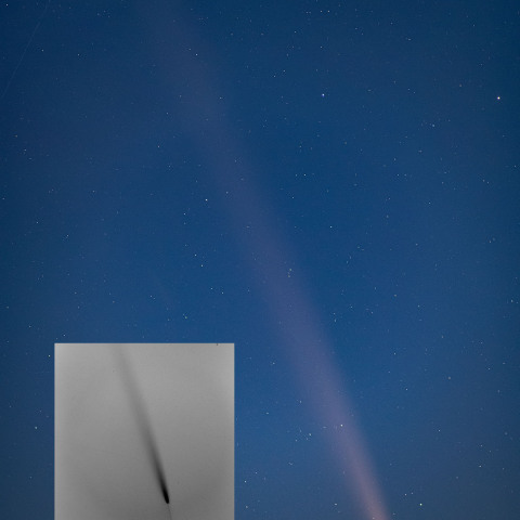 紫金山・アトラス彗星