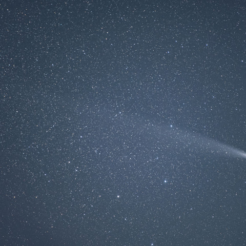 10月30日の紫金山・アトラス彗星