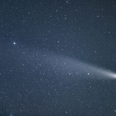 10月30日の紫金山・アトラス彗星