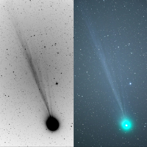 １月２０日のラブジョイ彗星