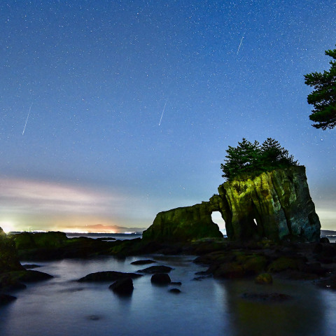 ペルセウス流星群
