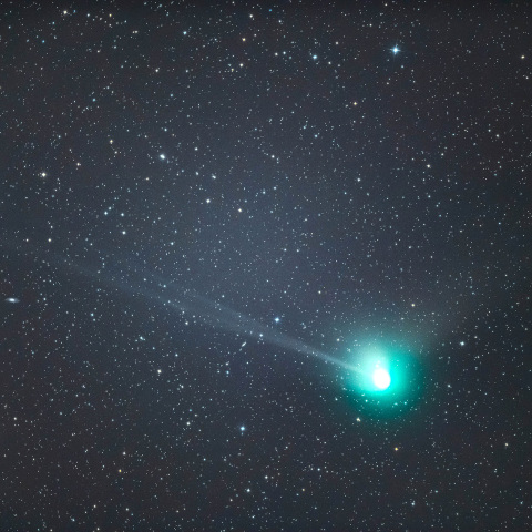 ３１日未明のZTF彗星