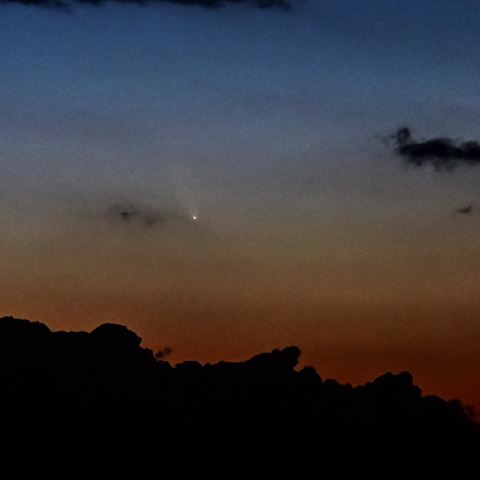紫金山・アトラス彗星