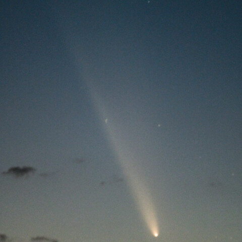 紫金山・アトラス彗星