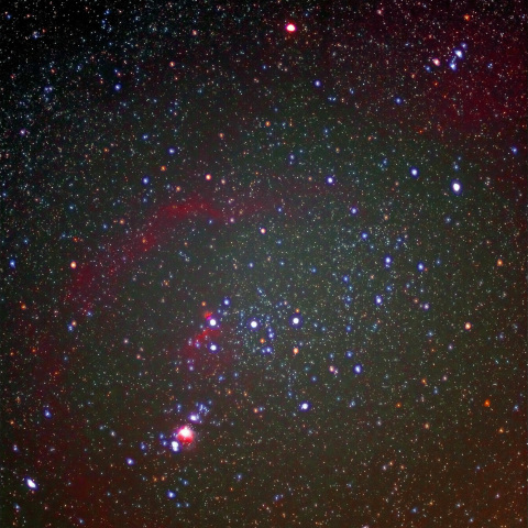 バーナードループ