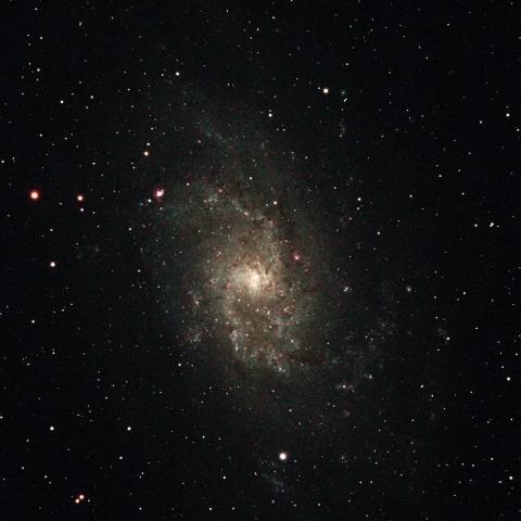 M33