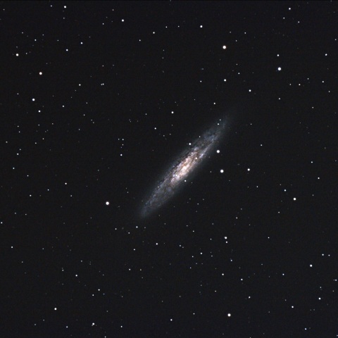 NGC253