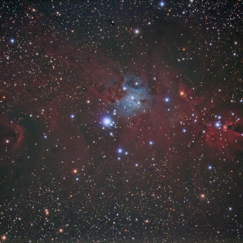 NGC2264