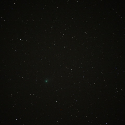 ラブジョイ彗星