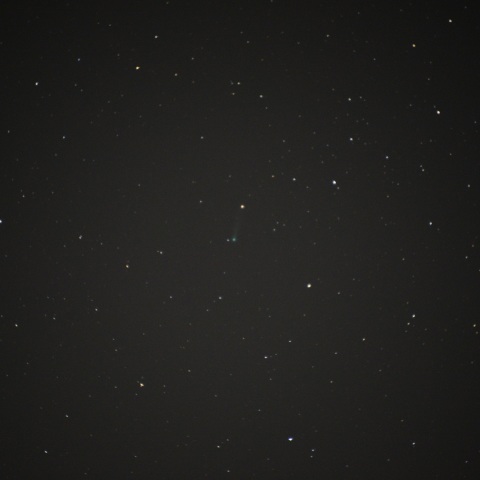 11月13日のアイソン彗星