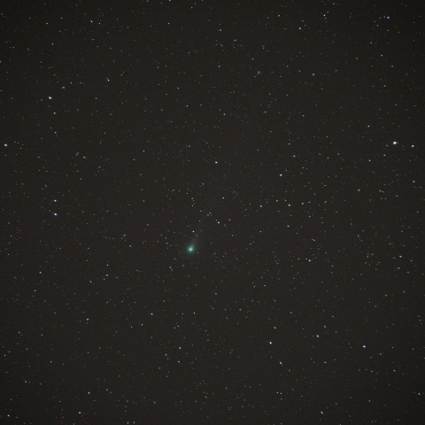 11月13日のラブジョイ彗星