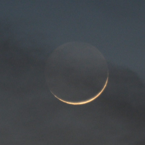 月齢1.1の細い月