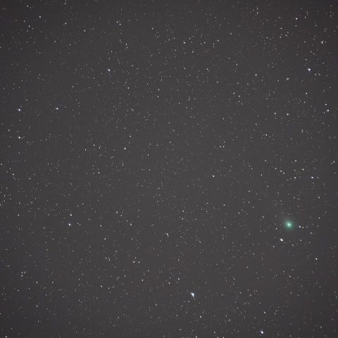 1月23日のラヴジョイ彗星