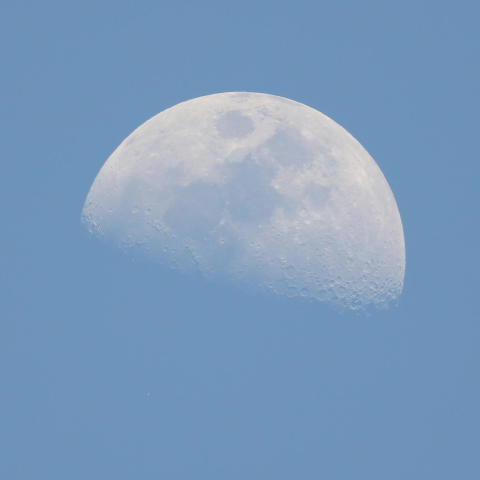 アルデバラン食　潜入