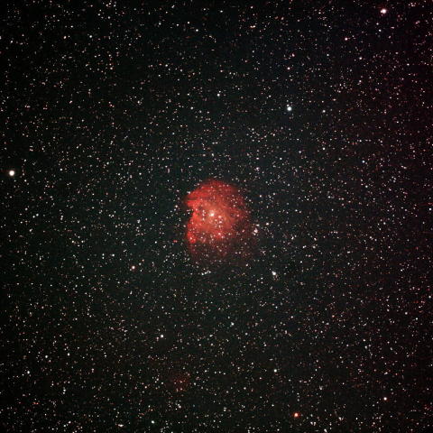 モンキー星雲　NGC2174