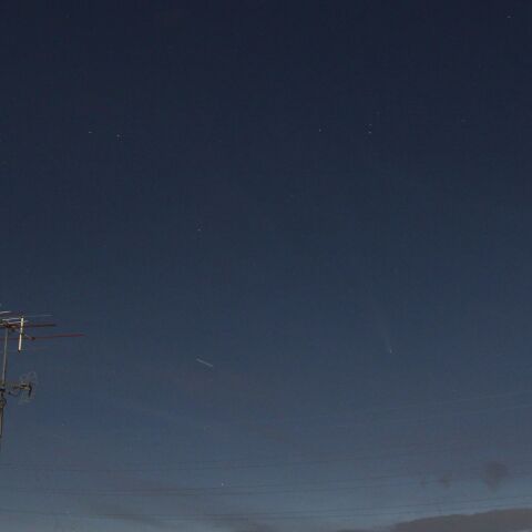 紫金山・アトラス彗星