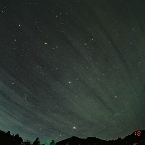 しし座流星群2009 と冬の星座