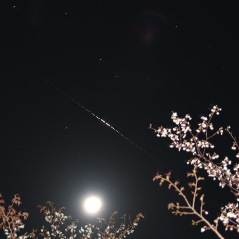 今夜(3/25)のイリジウム82号機のフレア