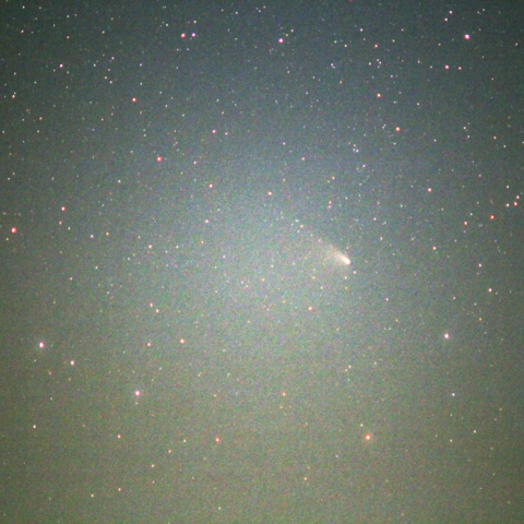 今朝(4/09)のパンスターズ彗星