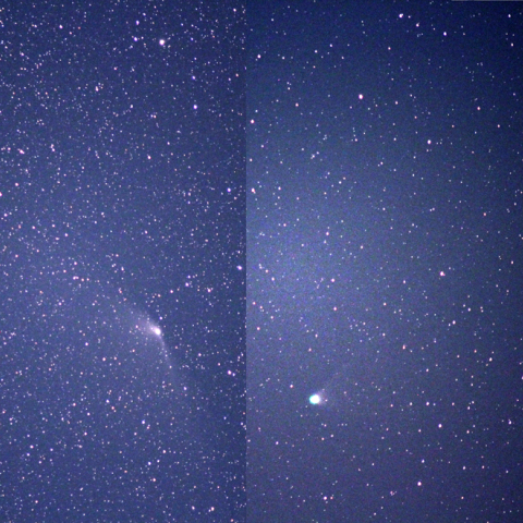 今朝(5/12)のパンスターズ彗星とレモン彗星