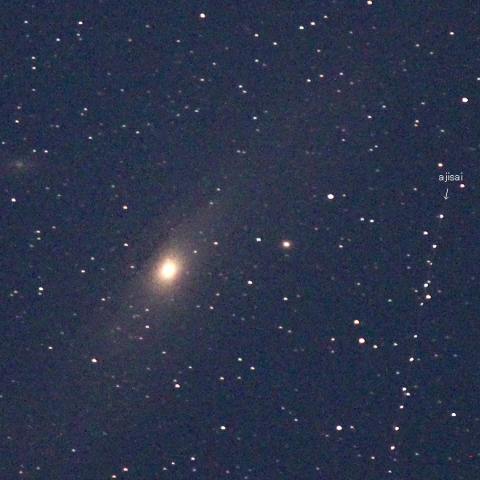 星空に咲く「あじさい」