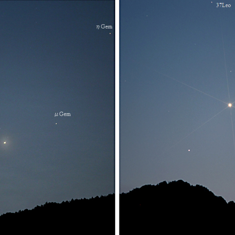 明方の火星・木星と夕方のレグルス・金星の接近