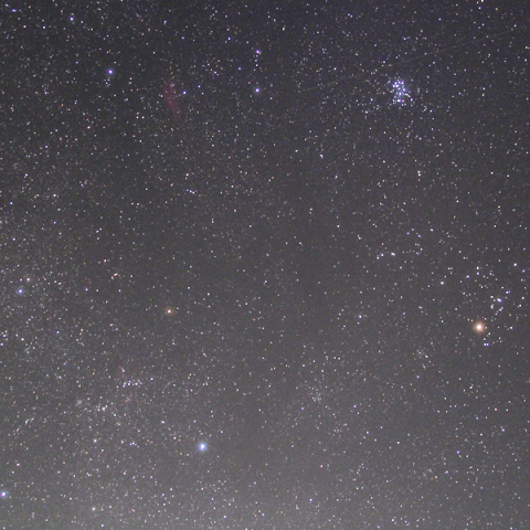 8月の「おうし座」