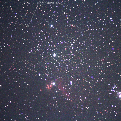 10/17の「ひさき」(SPRINT-A)