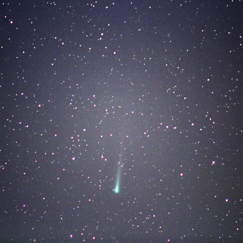 11/11のアイソン彗星