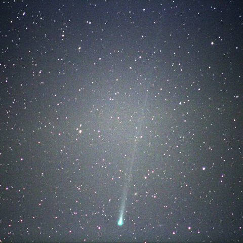 11/14のアイソン彗星