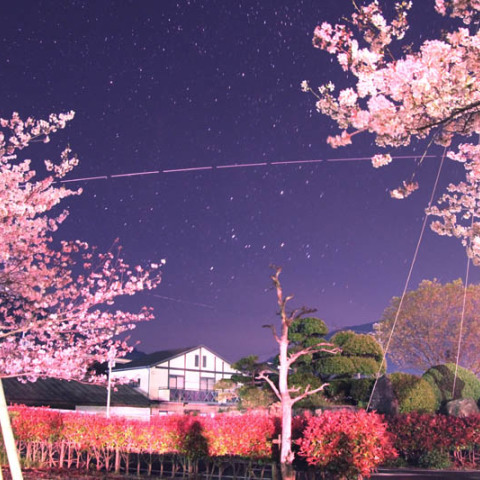 4/1の桜の季節のISS