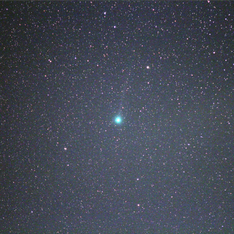 12/21のC/2014 Q2 ラヴジョイ彗星