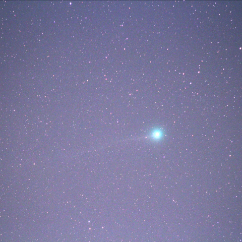 十六夜の日のC/2014 Q2 ラヴジョイ彗星