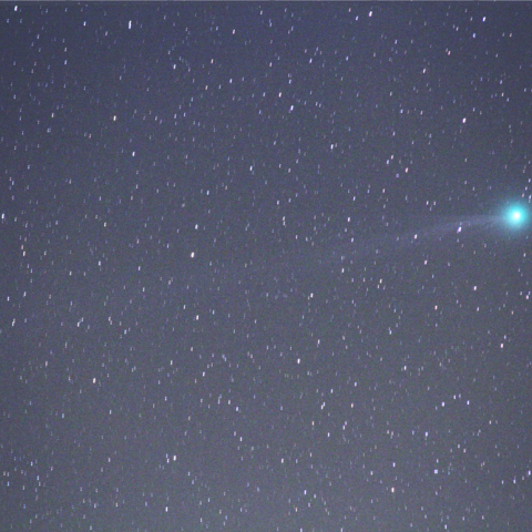 1/8のC/2014 Q2 ラヴジョイ彗星