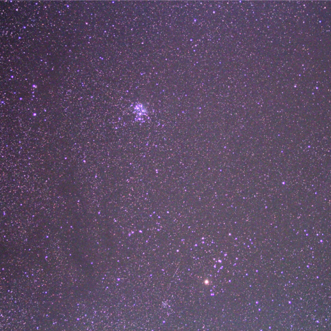 1/12のおうし座を行くラヴジョイ彗星