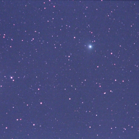 北極星とC/2014 Q2 ラブジョイ彗星