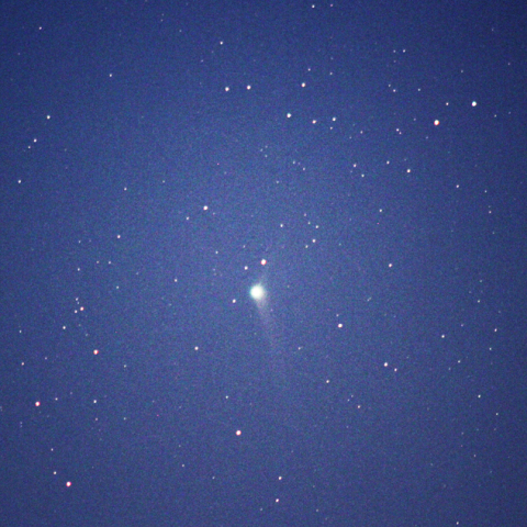 11/30のカタリナ彗星（C/2013 US10）
