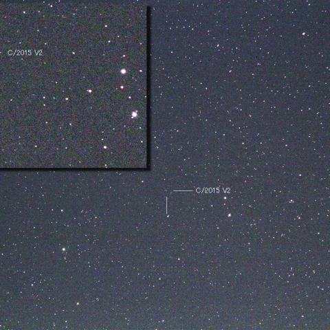 11/29のジョンソン彗星 (C/2015 V2)