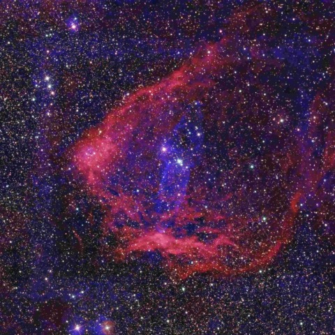 sh2-129 コウモリ星雲・ダイオウイカ星雲