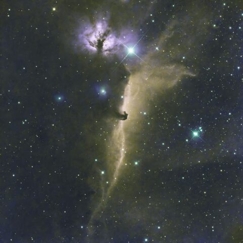 IC434　馬頭星雲・燃える木星雲