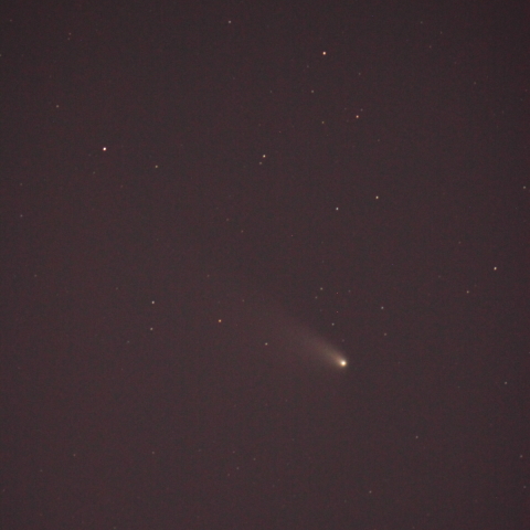 明け方のパンスターズ彗星