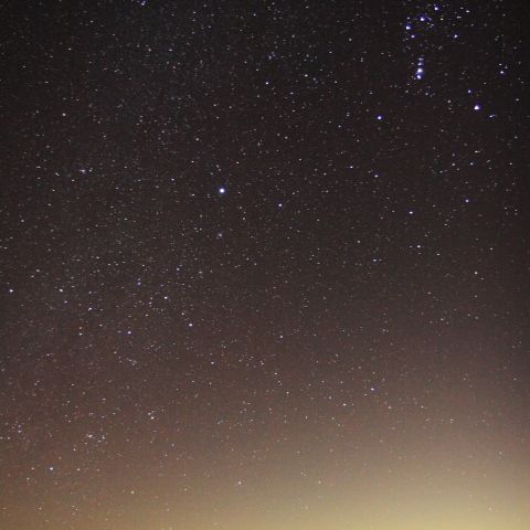 冬の大三角とカノープス