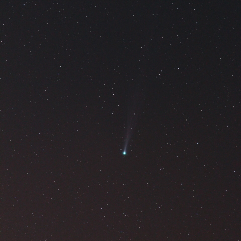 11/16のアイソン彗星