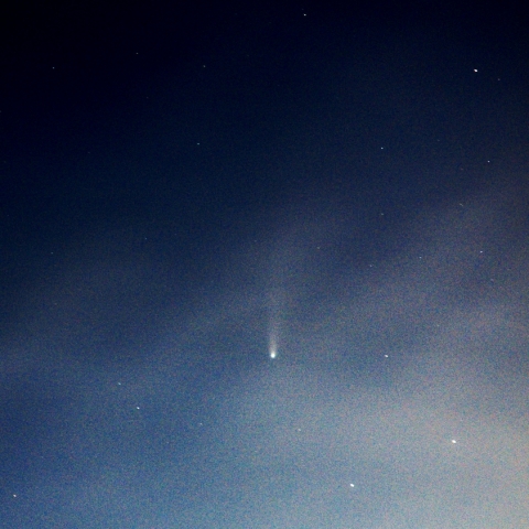 ネオワイズ彗星