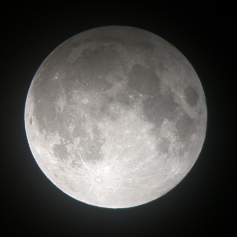 半影月食（11/28)