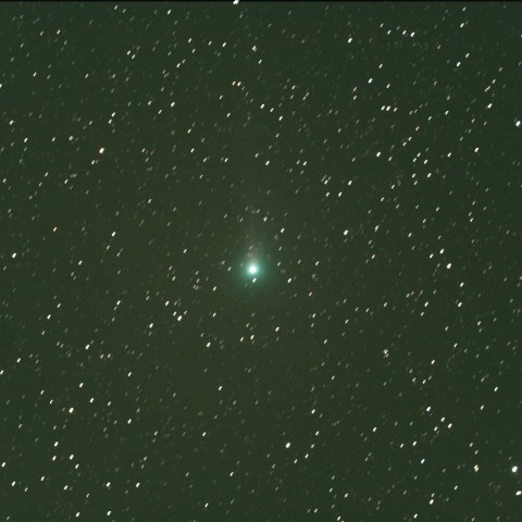 ラヴジョイ彗星(C/2013 R1)