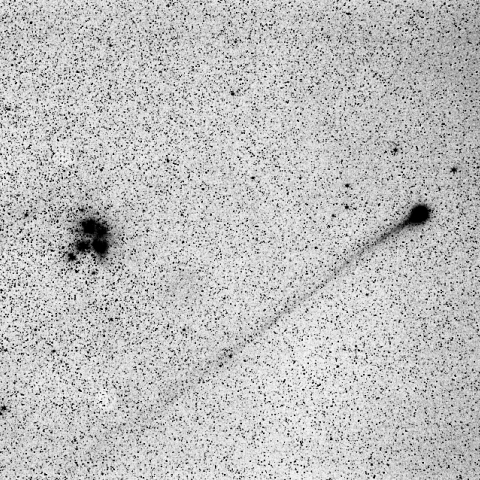 1/17 ラヴジョイ彗星(C/2014 Q2) 反転画像